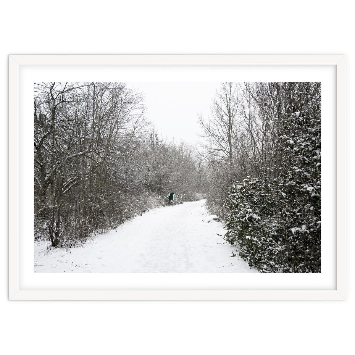 Walking through the snow park