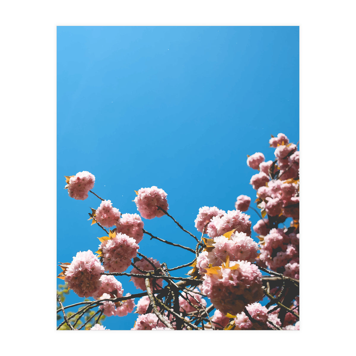 Pink Summer (Print Only)