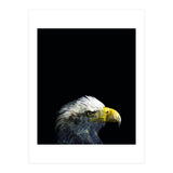 What It A Dream (Print Only) thumbnail