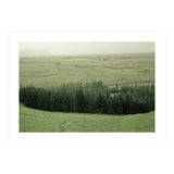 Small forest - Iceland (Print Only) thumbnail
