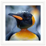 King Penguin In Falling Snow thumbnail