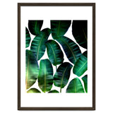 Cosmic Banana Leaves thumbnail