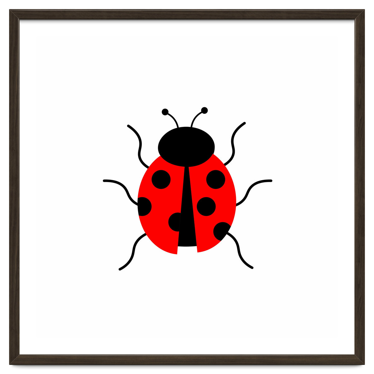 Lady Bug