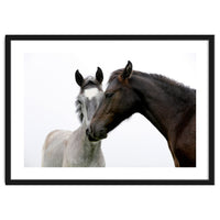 Two Horses