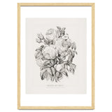 Currier & Ives – Rose of May (1870) thumbnail