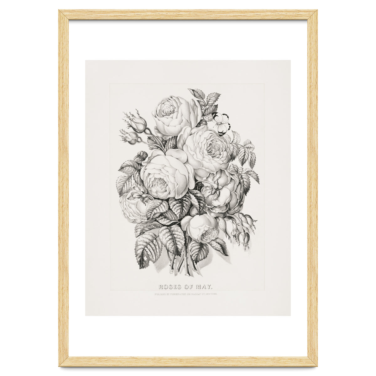 Currier & Ives – Rose of May (1870)