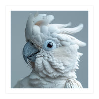 White Cockatoo Bird Portrait Close Up (Print Only)