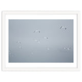 Flying seagulls in the winter sky thumbnail
