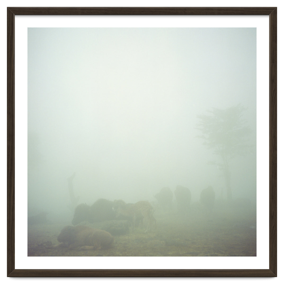 Silence of breath - 03