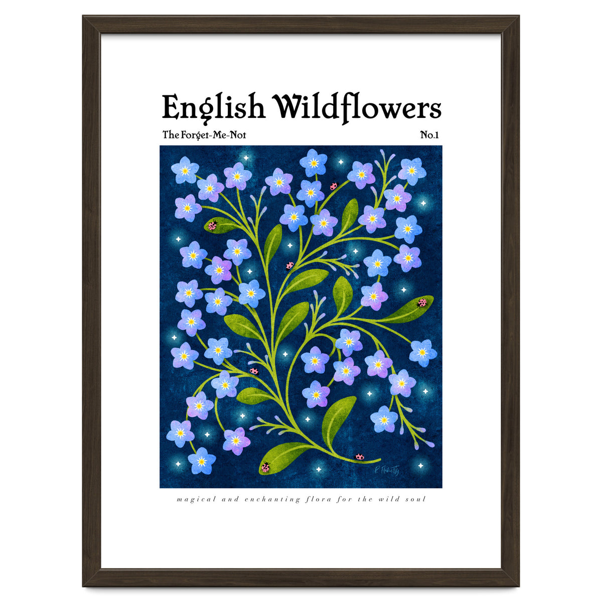 English Wildflowers | Forget-Me-Not