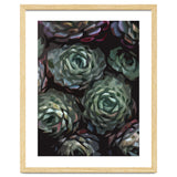 Succulent Plant Ii thumbnail