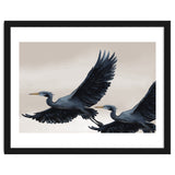 Migrating Herons thumbnail
