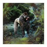 Gorilla  (Print Only) thumbnail