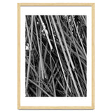Black Tectorius Plant Shoots Art thumbnail