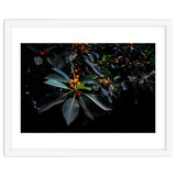Orange, Green and Dark thumbnail