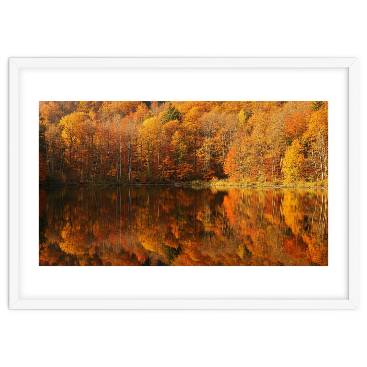 Autumn Reflections