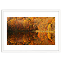 Autumn Reflections
