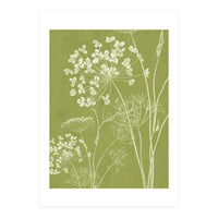 Wildflowers III (Print Only)