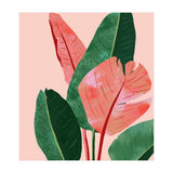 Blush Tropical, Banana Leaves Watercolor Botanical Jungle Painting, Forest Plants Leaves Pink Chic Bohemian (Print Only) thumbnail