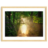 Hare in paradise thumbnail