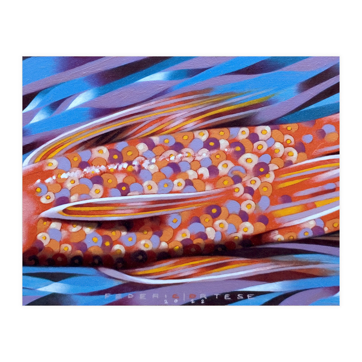 Little fish (Print Only)