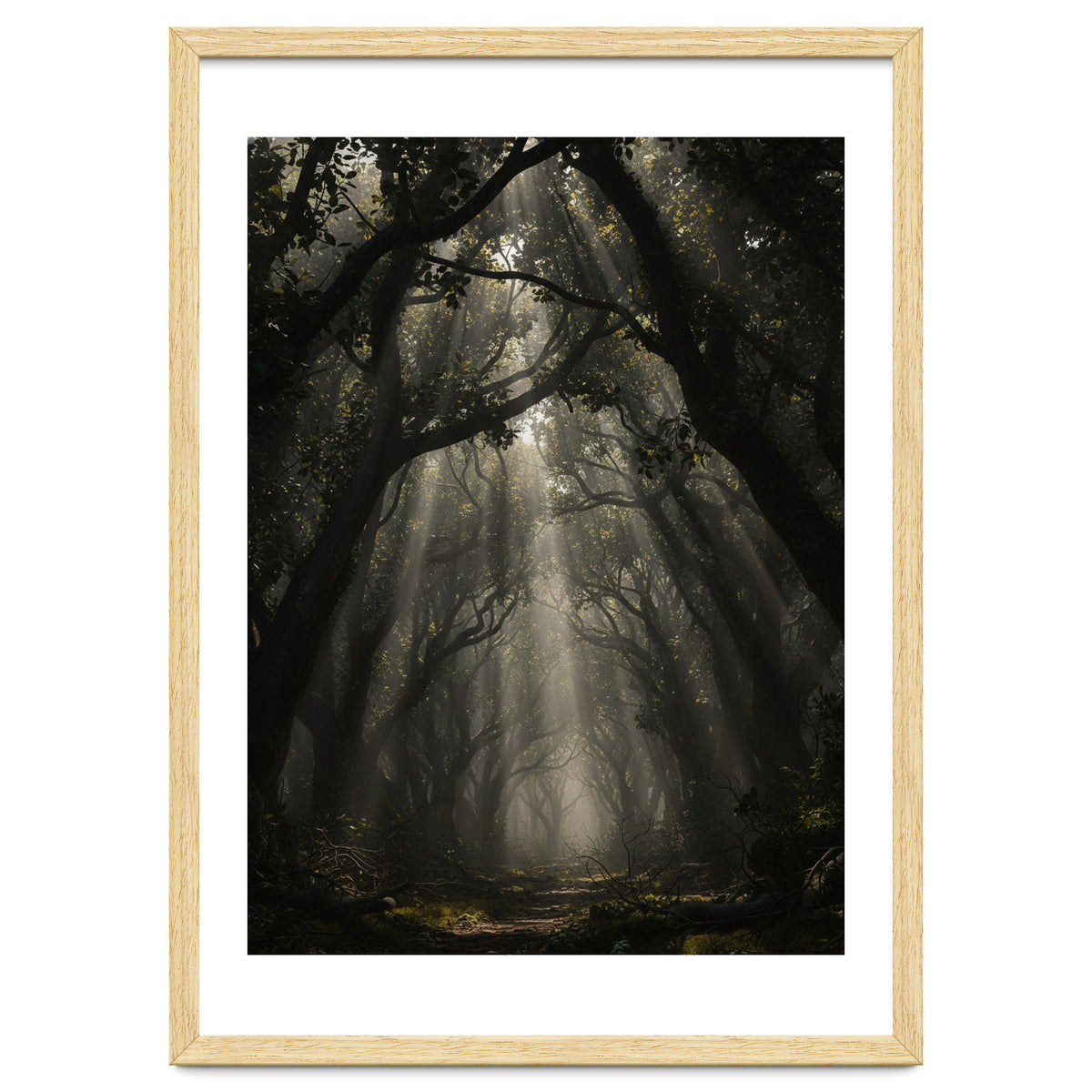 Enchanted Canopy: Mystical Forest Path
