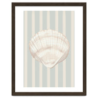 Sea shell