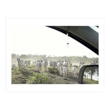 LIVING TOGETHER - WHITE COWS FAMILY (Print Only) thumbnail