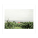 Red Roof house in between the summer green field - Iceland (Print Only) thumbnail