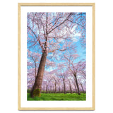 Spring in optima forma thumbnail