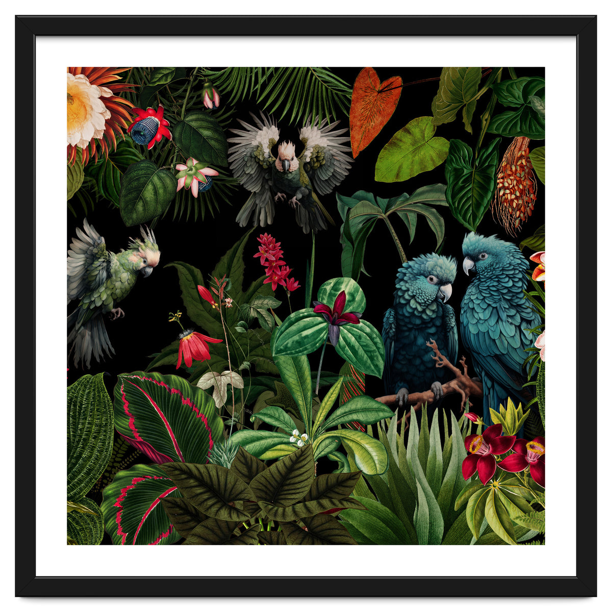 Moody Botanical Midnight Jungle Birds