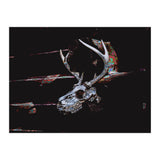Deer Skull (Print Only) thumbnail