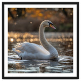 Graceful Swan Gliding On Reflective Water Surface thumbnail