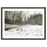 White horse in the snow field thumbnail
