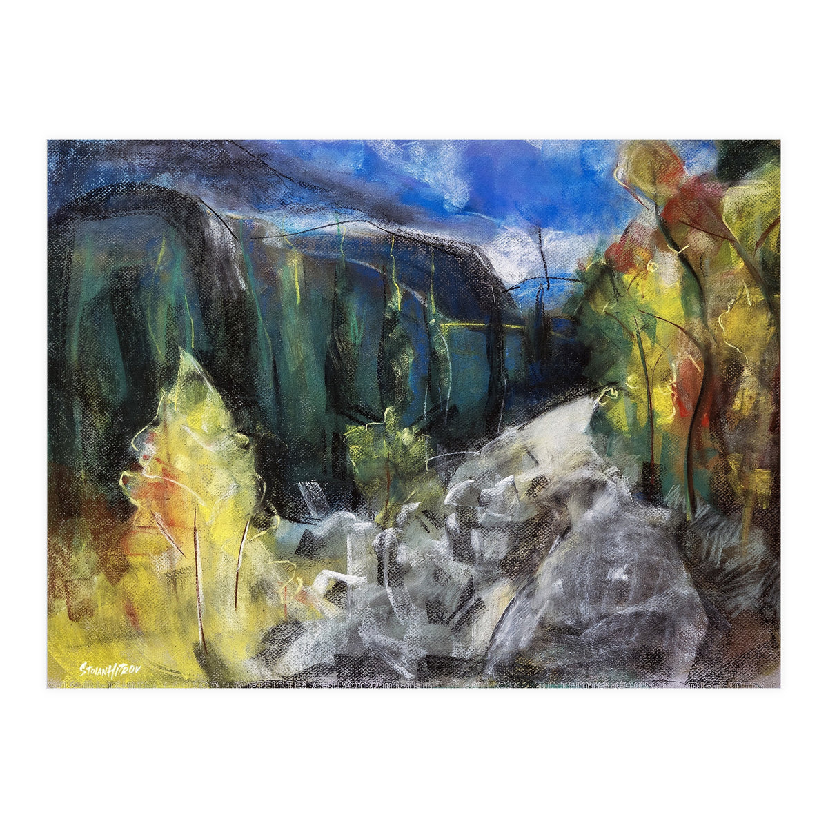 The Forest of Rila Mountain (Print Only)