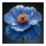 Meconopsis | Sapphire Serenade (Print Only) thumbnail