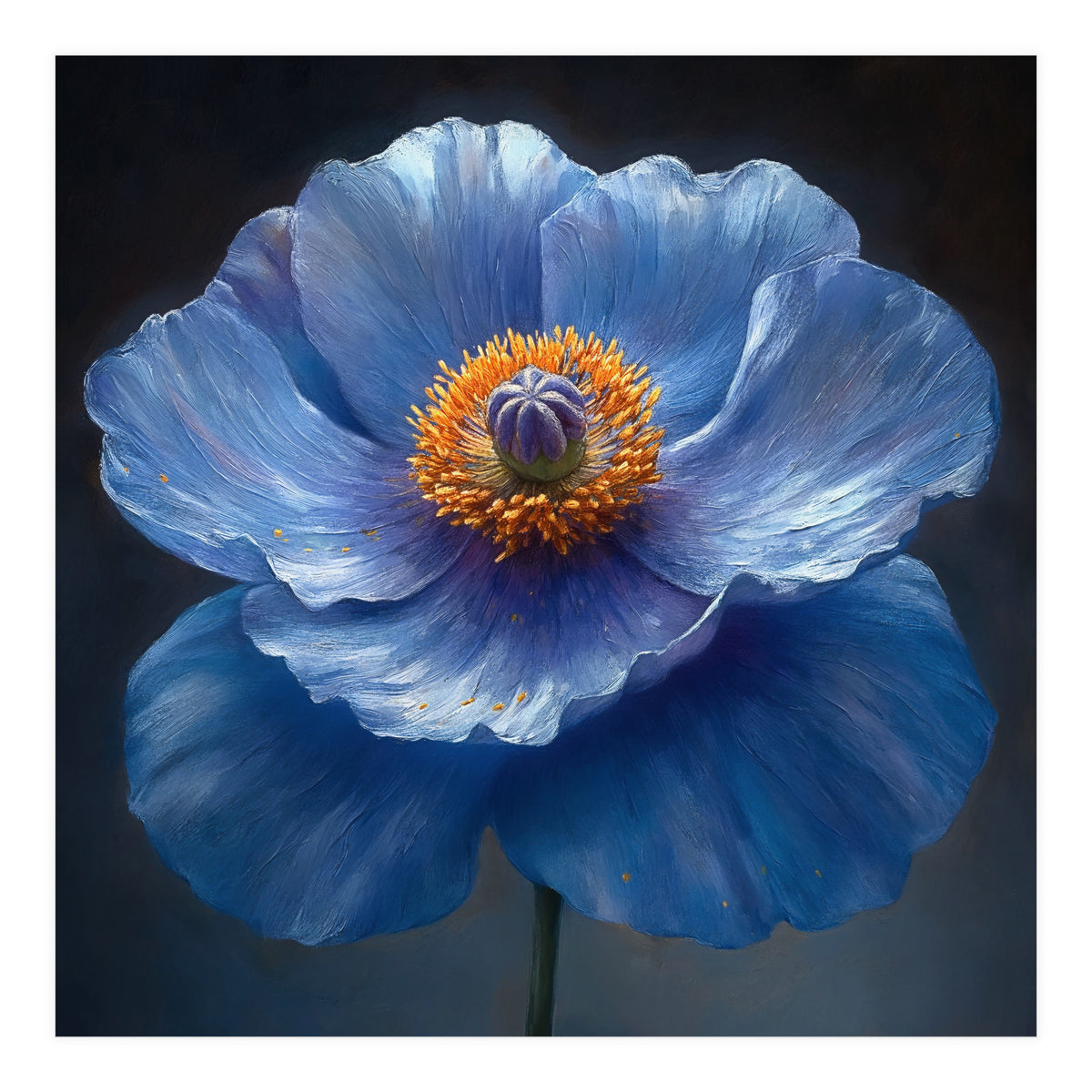Meconopsis | Sapphire Serenade (Print Only)