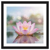 Ethereal Lotus Bloom: Serene Botanical Reflection thumbnail
