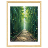 The Emerald Path: A Sun-Drenched Journey thumbnail