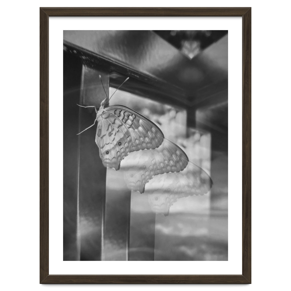 Evolving | Black & White