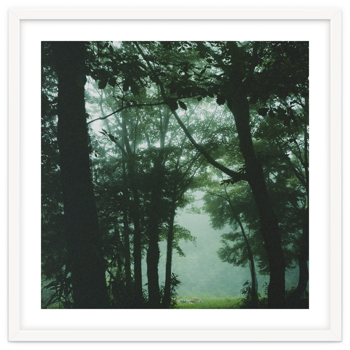 Silence of breath - 13