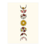 Floral Phases Of The Moon (Print Only) thumbnail