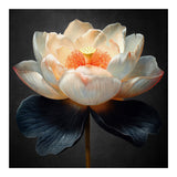 Lotus Cultivar | Midnight Skirt (Print Only) thumbnail