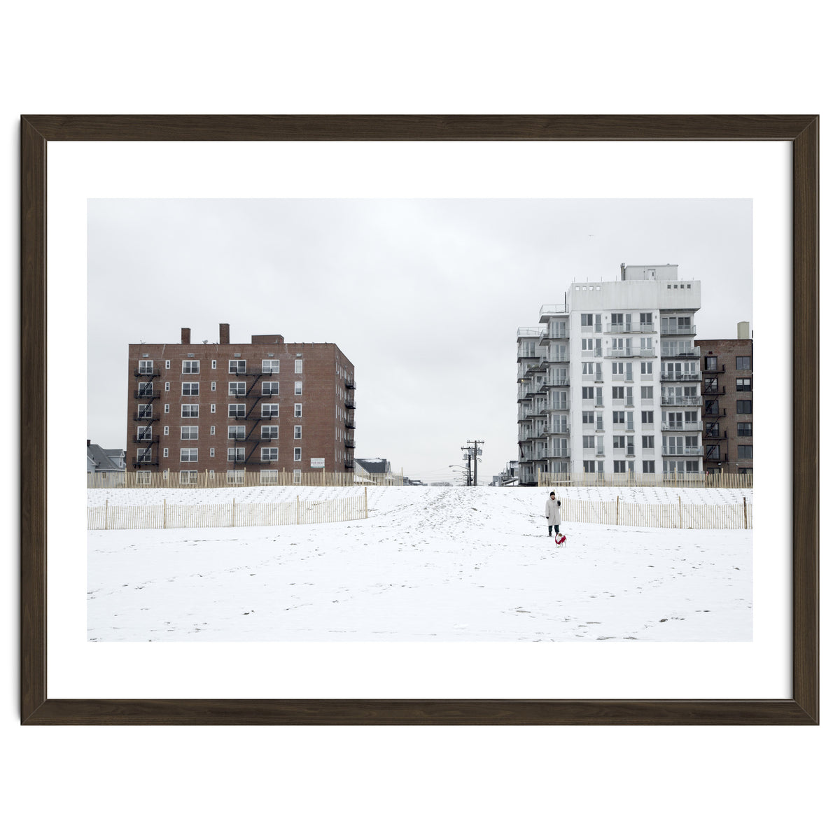 Walking with the dog on a snowy day
