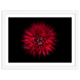 Backyard Flowers No 45 Color Flow Version thumbnail