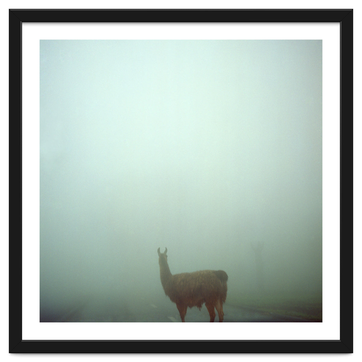 Silence of breath - 04