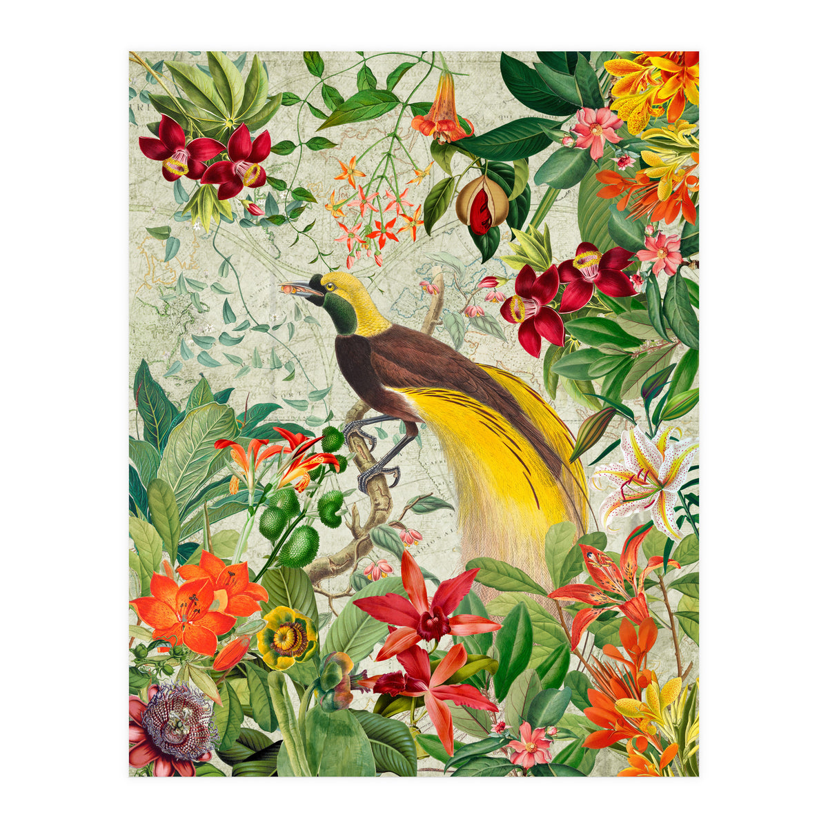 Bird of paradise vintage jungle  (Print Only)