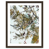 Patterns In Nature thumbnail