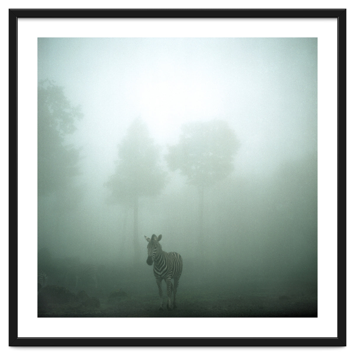 Silence of breath - 01