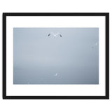 A flying seagull in the winter sky thumbnail
